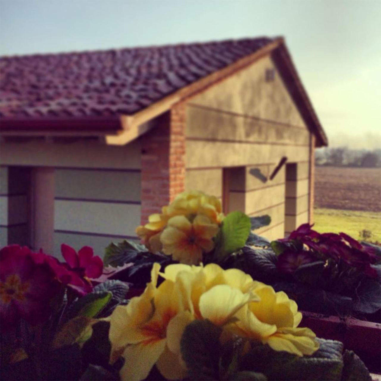 Agriturismo Bassanine Monticelli dʼOngina Екстериор снимка